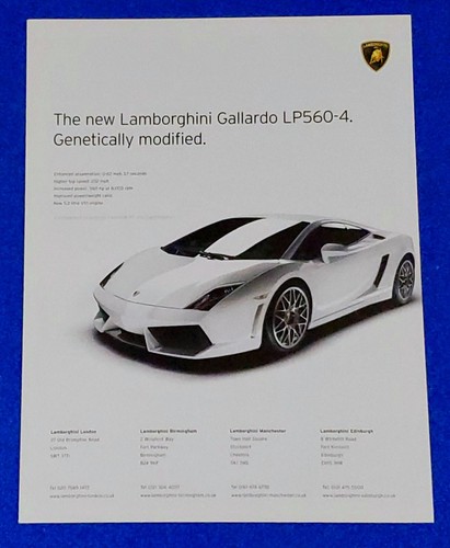 2008 lamborghini gallardo - 2008,
